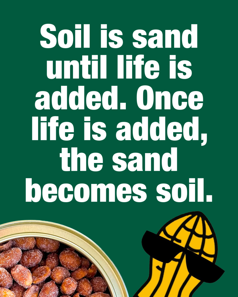 A quote on a green background reads, "Soil is sand until life is added. Once life is added, the sand becomes soil." At the bottom are a cartoon peanut in sunglasses and a tin of HancockPeanuts 2026.